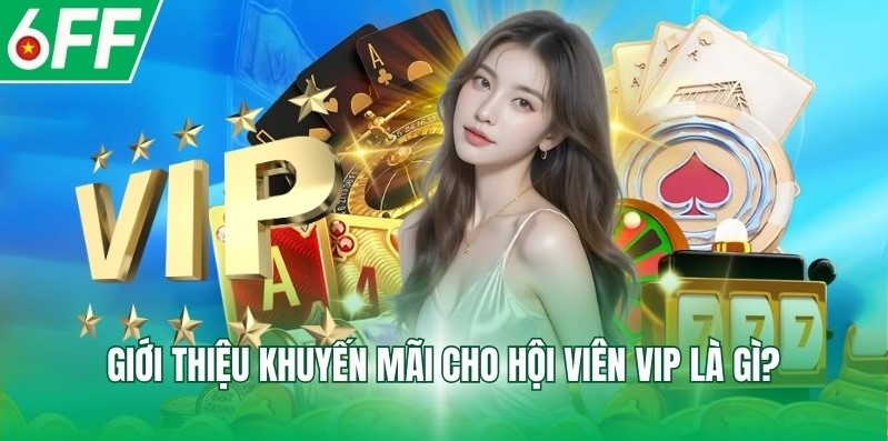 Giới thiệu khuyến mãi cho hội viên VIP là gì?