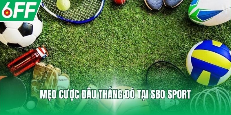 Mẹo cược đâu thắng đó tại SBO sport