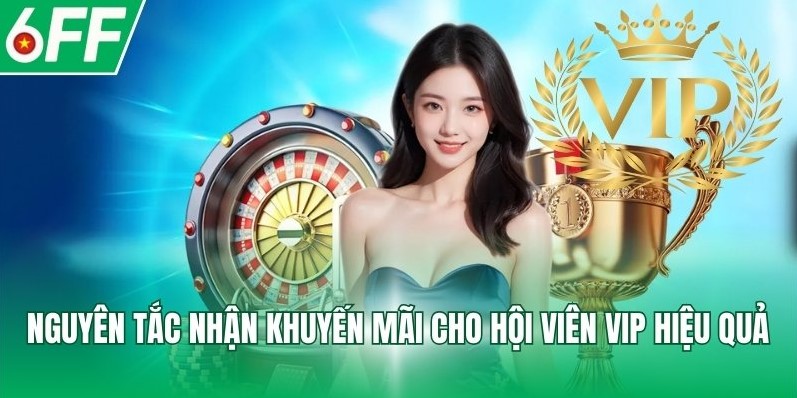 Nguyên tắc nhận khuyến mãi cho hội viên VIP hiệu quả