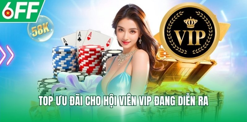 Top ưu đãi cho hội viên VIP đang diễn ra